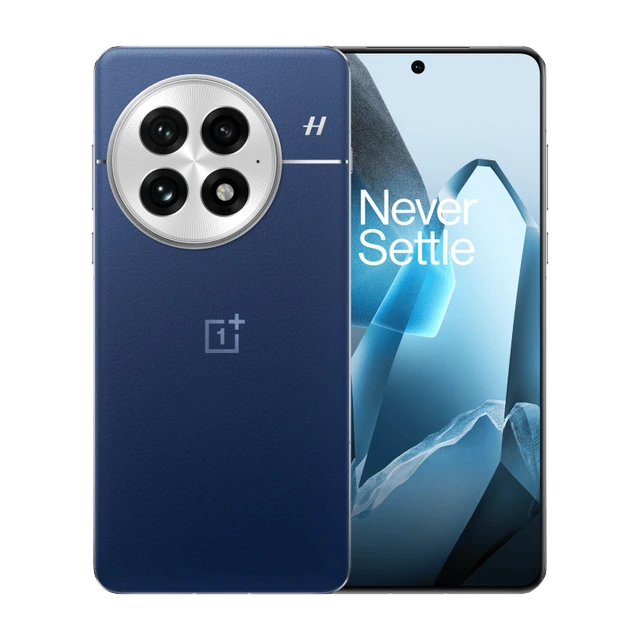OnePlus 13