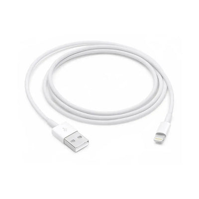 Apple USB to Lightning Cable | 1 Metre
