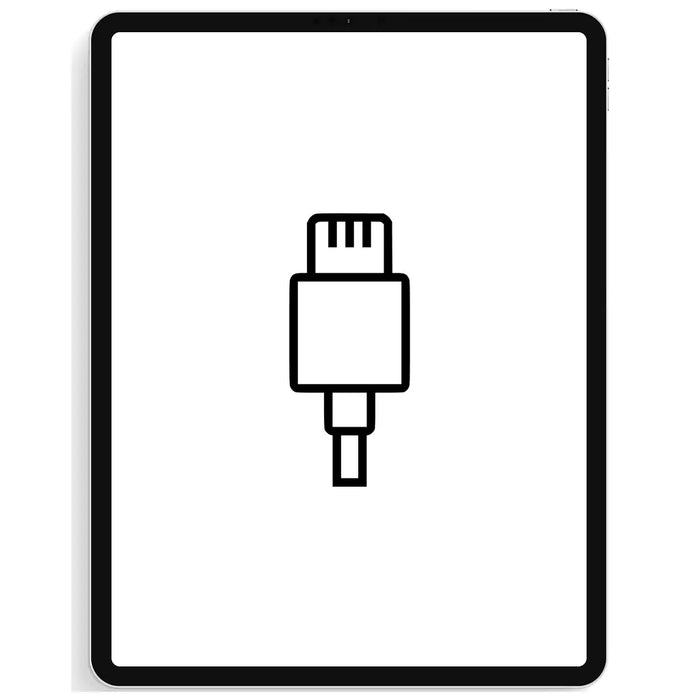 iPad Pro 11" (2018) Charging Dock Repair