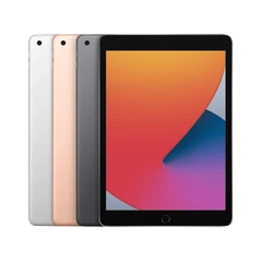 iPad (8th generation)